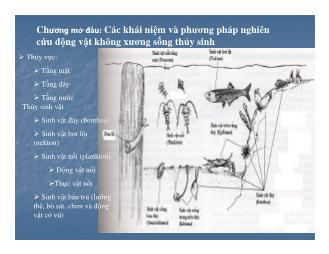Bài giảng Các khái niệm và phương pháp nghiên cứu động vật không xương sống thủy sinh