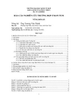 Báo cáo Dự án Agribiz- Nghiên cứu thực trạng kinh doanh nông nghiệp tại Kon Tum