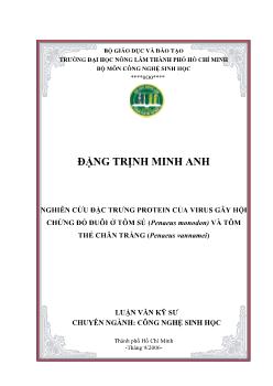 Đề tài Nghiên cứu đặc trưng protein của virus gây hội chứng đỏ đuôi ở tôm sú (Penaeus monodon) và tôm thẻ chân trắng (Penaeus vannamei)