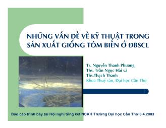 Đề tài Những vấn đề về kỹ thuật trong sản xuất tôm biển