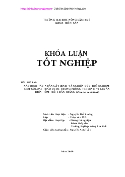 Đề tài Xác định tác nhân gây bệnh và nghiên cứu thử nghiệm một số loại thảo dược trong phòng trị bệnh vi khuẩn trên tôm thẻ chân trắng