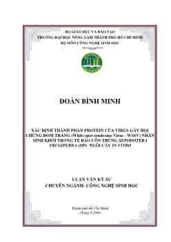 Đề tài Xác định thành phần protein của virus gây hội chứng đốm trắng nhân sinh khối trong tế bào côn trùng sepodotera frugiperda (sf9) nuôi cấy In Vitro