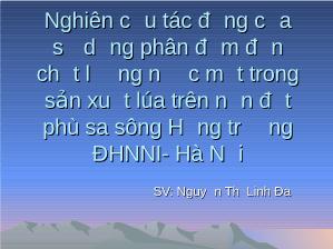 Khóa luận Nghiên cứu tác động của sử dụng phân đạm đến chất lượng nước mặt trong sản xuất lúa trên nền đất phù sa sông Hồng