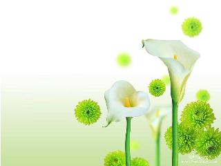 Tiểu luận Phân biệt sự khác nhau trong đánh giá đất đai và quy hoạch sử dụng đất đai, các yếu tố ảnh hưởng trong việc đánh giá đất đai