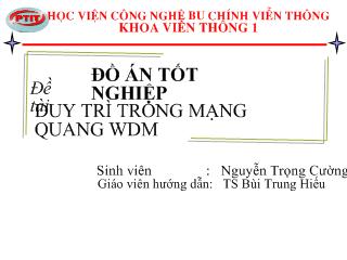 Đồ án Duy trì trong mạng quang WDM