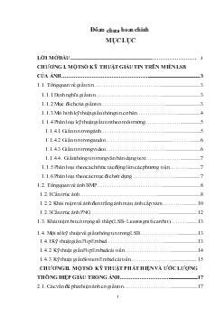 Đồ án Một số kỹ thuật phát hiện và ước lượng thông điệp có giấu tin trên miền LSB của ảnh màu và ảnh cấp xám