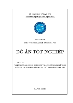 Đồ án Nghiên cứu giải pháp thu gom vận chuyển hỗn hợp dầu khí bằng đường ống ở khu vực mỏ Nam Rồng - Đồi mồi