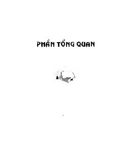 Luận án Nghiên cứu đặc tính và phương pháp xác định Savinaza trong bột giặt và bụi không khí nhà máy