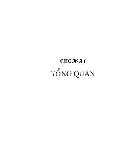 Luận văn Composit polypropulen gia cường bằng sợi chuối