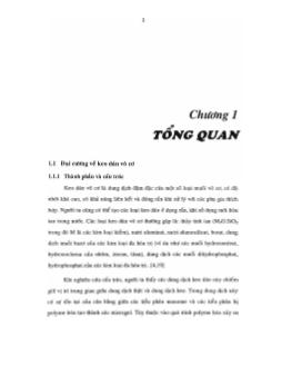 Luận văn Khảo sát ảnh hưởng của các oxit biến tính (Fe2O3, CaO, Al2O3) đến quá trình đóng rắn của keo Magiephosphat
