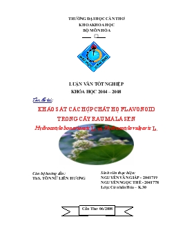 Luận văn Khảo sát các hợp chất họ flavonoid trong cây Rau Má Lá Sen Hydrocotyle bonariensis L và Hydrocotyle vulgaris L