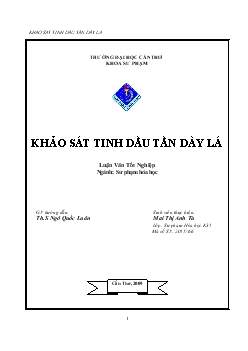 Luận văn Khảo sát tinh dầu tần dày lá