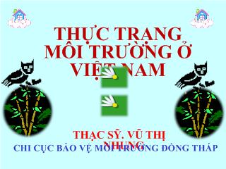 Đề tài Thực trạng môi trường ở Việt nam hiện nay