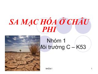 Tiểu luận Sa mạc hóa ở châu Phi