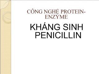 Đề tài Công nghệ Protein - Enzyme: Kháng sinh Penicillin