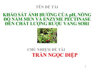 Đề tài Khảo sát ảnh hưởng của pH, nồng độ nấm men và Enzyme Pectinase đến chất lượng rượu vang Sơri