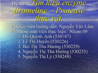 Đề tài Tìm hiểu Enzyme Bromeline - Protease thực vật