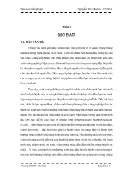 Đề tài Tình hình bệnh viêm đường sinh dục và thử nghiệm một số phác đồ điều trị bệnh viêm tử cung trên đàn lợn nái ngoại nuôi tại trang trại chăn nuôi Bùi Huy Hạnh, thuộc xã Tái Sơn - Tứ Kỳ - Hải Dương