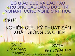 Khóa luận Nghiên cứu kỹ thuật sản xuất giống cá chép