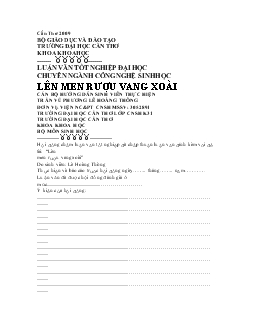 Luận văn Lên men rượu vang xoài