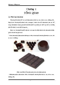 Luận văn Nghiên cứu quá trình xử lý nhiệt trong sản xuất chocolate