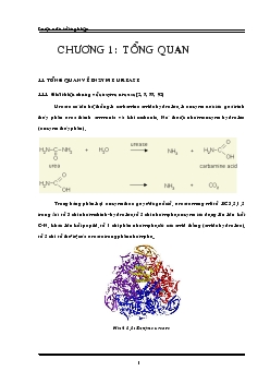 Luận văn Nghiên cứu tinh sạch Pectinase từ nấm sợi Aspergillus Awamori và xác định tính chất của chế phẩm