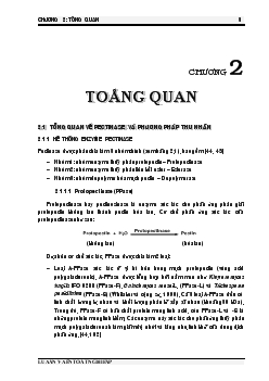 Luận văn Tinh sạch pectinase bằng phương pháp nuôi cấy BS Aspergillus awamori