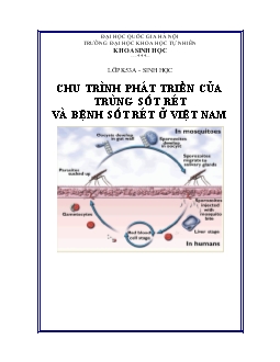 Tiểu luận Chu trình phát triển của trùng sốt rét và bệnh sốt rét ở Việt Nam