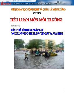 Tiểu luận Đánh giá tình hình ngập lụt môi trường đô thị thành phố Hồ Chí Minh và giải pháp