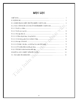Tiểu luận Thực trạng ô nhiễm biển Việt Nam và một số nguyên nhân gây ra thực trạng đó