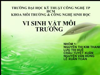 Tiểu luận Ứng dụng của vi sinh vật trong xử lý ô nhiễm môi trường