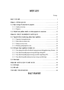 Đề tài Đánh giá sự biến đổi hoạt độ enzym của hỗn hợp Papain và Amylase dạng bột và dạng dung dịch trong điều kiện lão hoá cấp tốc