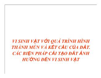 Đề tài Vi sinh vật với quá trình hình thành mùn và kết cấu của đất và các biện pháp cải tạo đất ảnh hưởng đến vi sinh vật