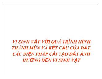 Đề tài Vi sinh vật với quá trình hình thành mùn và kết cấu của đất và các biện pháp cải tạo đất ảnh hưởng đến vi sinh vật