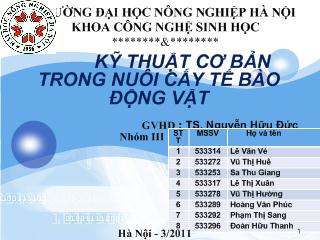 Đề tài Kỹ thuật cơ bản trong nuôi cấy tế bào động vật