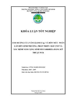 Khóa luận Ảnh hưởng của nấm Glomus SP và bốn mức phân lân đến sinh trưởng, phát triển bắp C919 và xác định nấm cộng sinh Mycorrhiza bằng kỹ thuật PCR