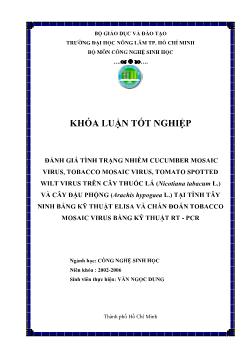 Khóa luận Đánh giá tình trạng nhiễm Cucumber Mosaic Virus, Tobacco Mosaic Virus, Tomato Spotted Wilt Virus trên cây thuốc lá (Nicotiana tabacum L.) và cây đậu phộng (Arachis hypogaea L.) tại tỉnh Tây Ninh bằng kỹ thuật Elisa và chẩn đoán Tobacco Mosaic Vi