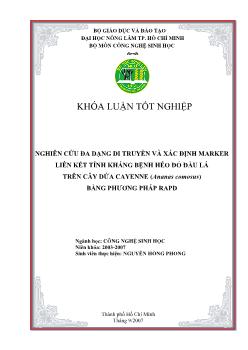 Khóa luận Nghiên cứu đa dạng di truyền và xác định marker liên kết tính kháng bệnh héo đỏ đầu lá trên cây dứa Cayenne (Ananas comosus) bằng phương pháp RAPD