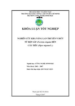 Khóa luận Nghiên cứu khả năng lan truyền virus từ rệp sáp (Ferrisia virgata) đến cây Tiêu (Piper nigrum L.)