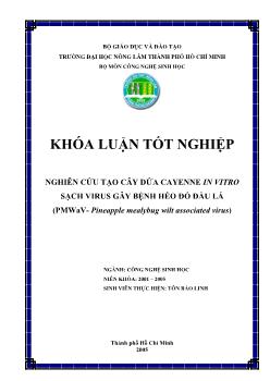 Khóa luận Nghiên cứu tạo cây dứa Cayenne In Vitro sạch Virus gây bệnh héo đỏ đầu lá (PMWaV - Pineapple mealybug wilt associated virus)