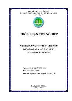 Khóa luận Nghiên cứu và phát hiện vi khuẩn Leifsonia xyli subsp. xyli, tác nhân gây bệnh cằn mía gốc