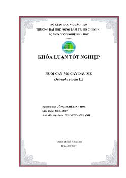 Khóa luận Nuôi cấy mô cây Dầu mè (Jatropha curcas L.)