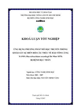 Khóa luận Ứng dụng phương pháp mô học truyền thống khảo sát sự biến đổi cấu trúc tế bào tôm càng xanh (Macrobrachium rosenbegii De Man 1879) bị bệnh đục thân