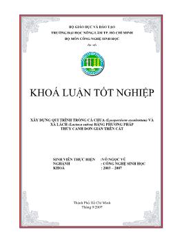 Khóa luận Xây dựng qui trình trồng cà chua (Lycopersicon esculentum) và xà lách (Lactuca sativa) bằng phương pháp thủy canh đơn giản trên cát