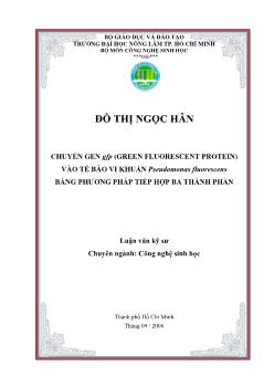 Luận văn Chuyển gen GFP (Green Fluorescent Protein) vào tế bào vi khuẩn Pseudomonas fluorescens bằng phương pháp tiếp hợp ba thành phần