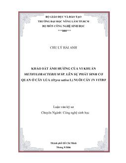 Luận văn Khảo sát ảnh hưởng của vi khuẩn Methylobacterium SP lên sự phát sinh cơ quan ở cây lúa (Ozyra sativa L) nuôi cấy In Vitro