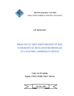 Luận văn Khảo sát sự thủy phân Protein từ đậu nành dưới tác dụng Enzyme Protease của nấm mốc Aspergillus Oryzae