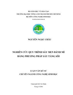 Luận văn Nghiên cứu quy trình sấy men bánh mì bằng phương pháp sấy tầng sôi