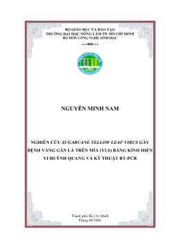 Luận văn Nghiên cứu Sugarcane Yellow Leaf Virus gây bệnh vàng gân lá trên mía (YLS) bằng kính hiển vi huỳnh quang và kỹ thuật RT-PCR