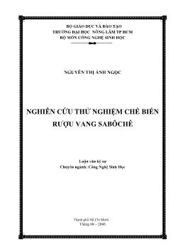 Luận văn Nghiên cứu thử nghiệm chế biến rượu vang Sabôchê